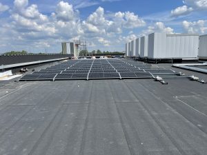 IMG_1930-300x225 (1)